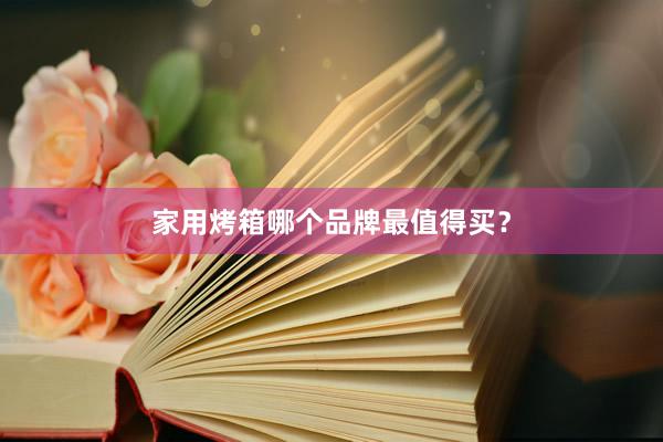家用烤箱哪个品牌最值得买？
